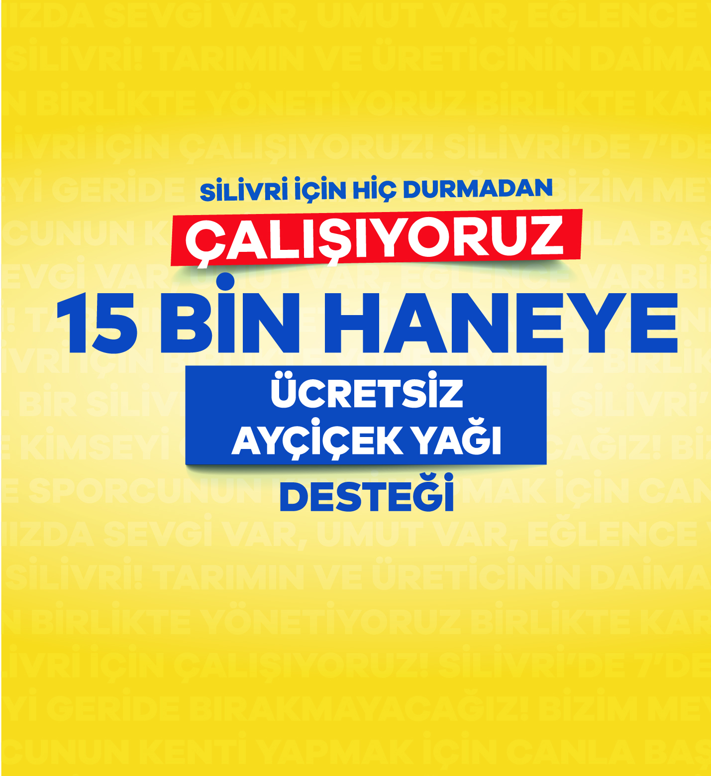 AYÇİÇEK DESTEĞİ