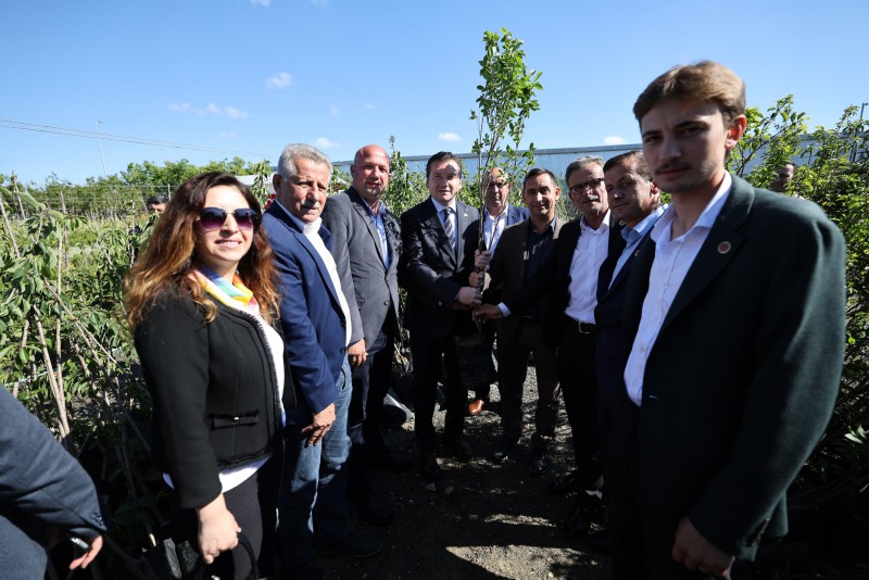  Silivri Belediye Başkanı Bora Balcıoğlu 2800 Meyve Ağacı Fidanı Dağıttı