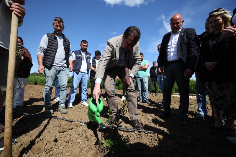 Silivri'de 14 Mayıs Dünya Çiftçiler Günü Kutlamaları Zeytin Fidanlarıyla Anlam Buldu